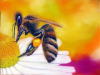 Pastell-Bee-day-von-MilA-Daniela-Bracher-
