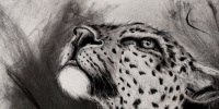 Kohle-auf-Leinwand-Leopardenmagie-von-MilA-Daniela-Bracher
