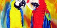 Pastell-Sorry-von-MilA-Daniela-Bracher-