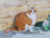 Kater-Möidi -von Erich Iseli