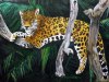 Schmusekatze-im-Tschungel-von-Erich -Iseli