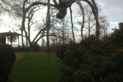 Fondation Beyeler 29.12.11