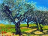 Olivenhain von Hilda Steiner 50x50