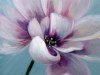 Anniversaire-en-rose-von-Lyaysan-Amirova-42x40