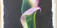 Calla- von- Lyaysan-Amirova-