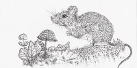 Maus-von-Marlen