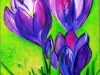 Krokusse von Susanne Hoald 18 x 24