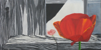 Therese-Scheidgger-Mohn-1-1-